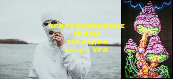 герыч Россошь