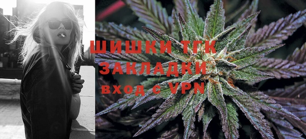 прущие грибы Аркадак