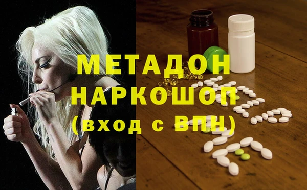 прущие грибы Аркадак
