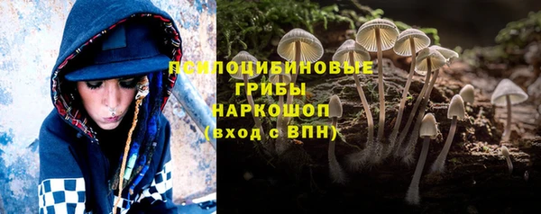 дживик Ростов