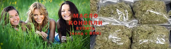 прущие грибы Аркадак