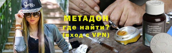 прущие грибы Аркадак